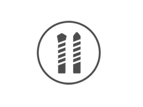 SDS PLUS II  VPOINTER 12/100/160 531803